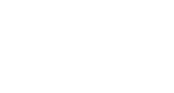 iv-logo-white